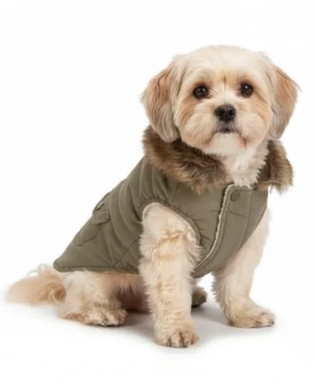 Abrigo Designed by Lotte Philos Verde para Perro