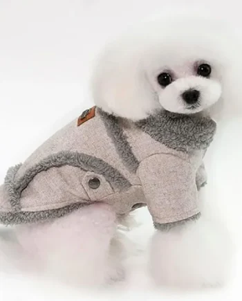 Abrigo dulce invierno - Cat-oh pet shop