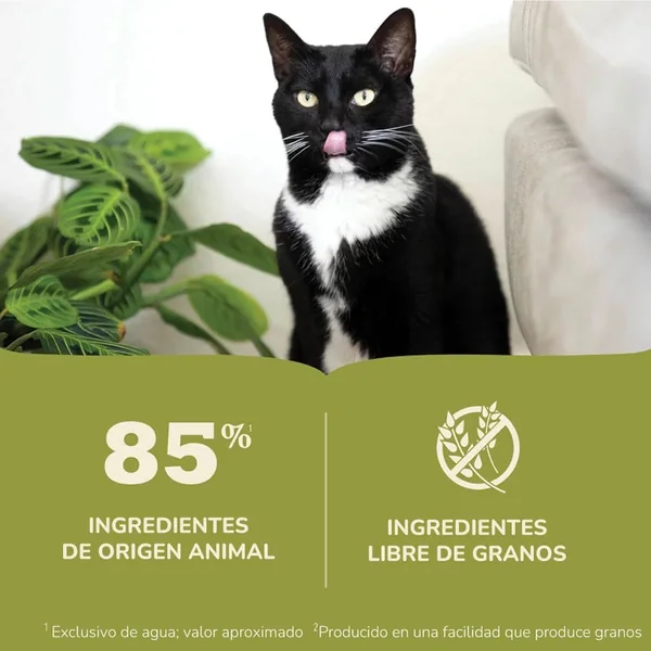 ACANA Premium Pate Tuna and chicken recipe 85gr y 155gr - Cat-oh pet shop