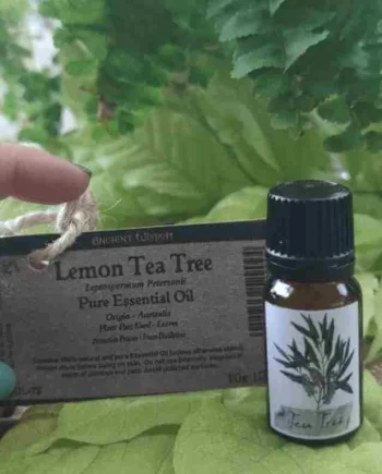 Aceite Puro de Árbol de té