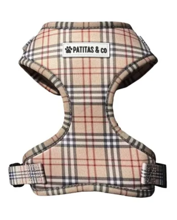 Arnes Patitas Cuadros