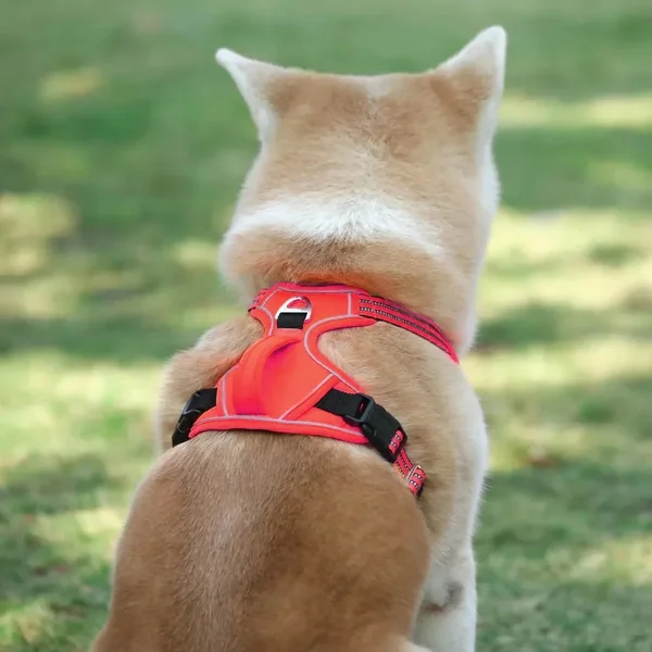 Arnes Tactico para Perros | S, M, L, XL
