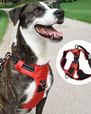 Arnés tiras reflectivas para perros Rando Walk | Rojo