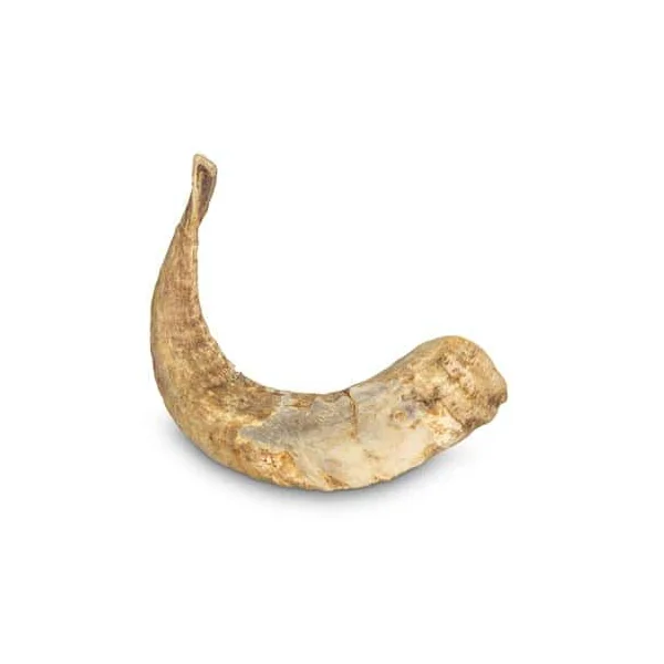 Arquivet Cuerno De Carnero Para Perro