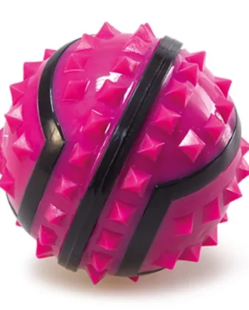 Arquivet Pelota Strong Large - 9cm.