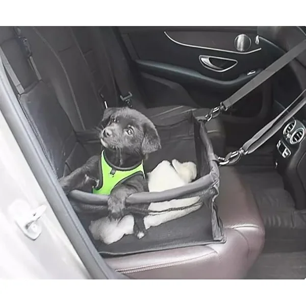 Asiento de auto para perros y gatos - Cat-oh pet shop