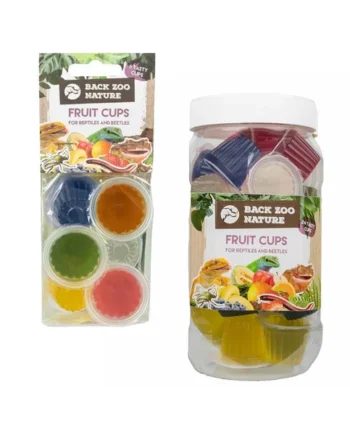 Back Zoo Nature Fruit Cups Reptiles y Escarabajos