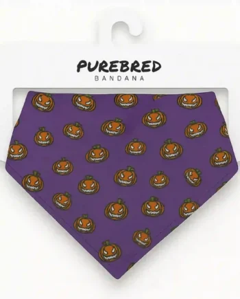 Bandana Calabaza - S - Cat-oh pet shop