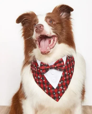 Bandana Tuxedo Navideño - Cat-oh pet shop