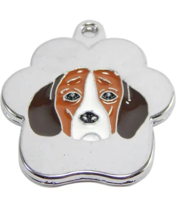 Beagle rainbow - Cat-oh pet shop