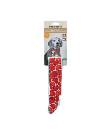 Beeztees Quick Cooler Meloenie Collar Refrescante