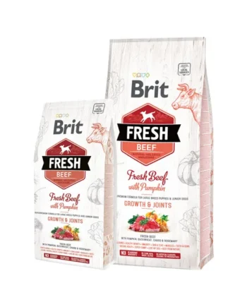 Brit Fresh Beef with Pumpkin - Puppy Large