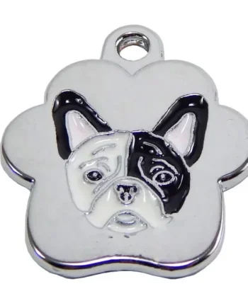 Bulldog frances rainbow - Cat-oh pet shop