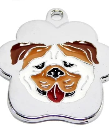 Bulldog ingles rainbow - Cat-oh pet shop