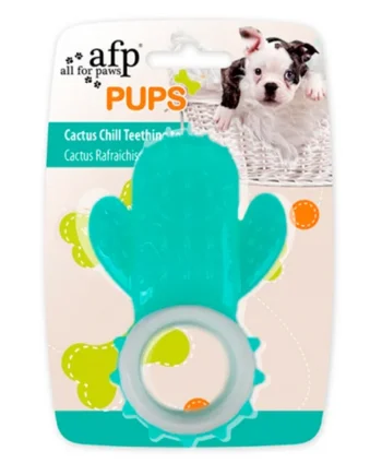 Cactus dientes refrescantes - Cat-oh pet shop