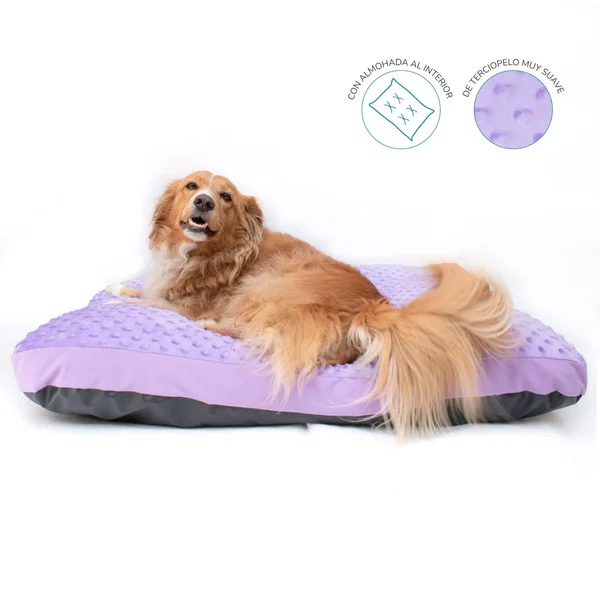 Cama colchoneta para perros dots- Morado - Cat-oh pet shop
