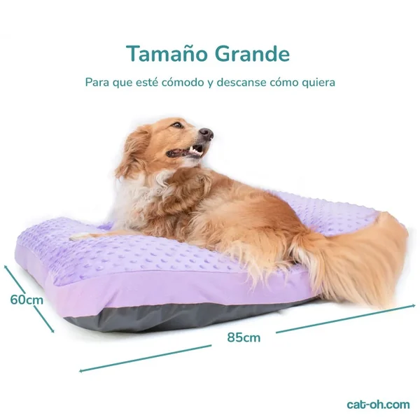 Cama colchoneta para perros dots- Morado - Cat-oh pet shop