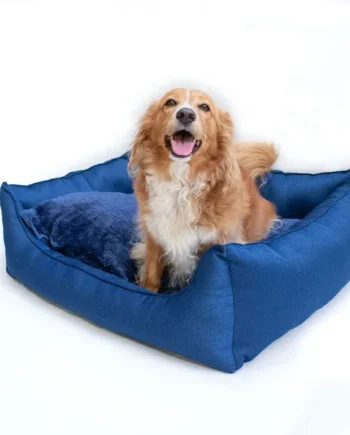 Cama Confort Azul - Cat-oh pet shop