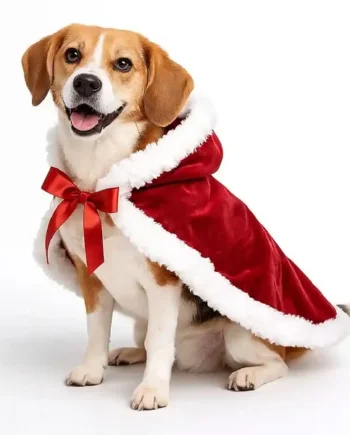 Capa Mamanuela Dog - Cat-oh pet shop