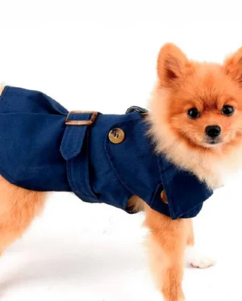 Chaqueta inspector peludo - Cat-oh pet shop