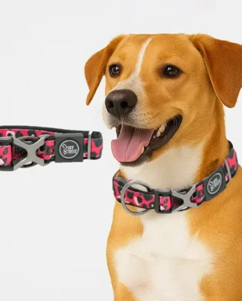 Collar para perro acolchado Leopardo de All for paws