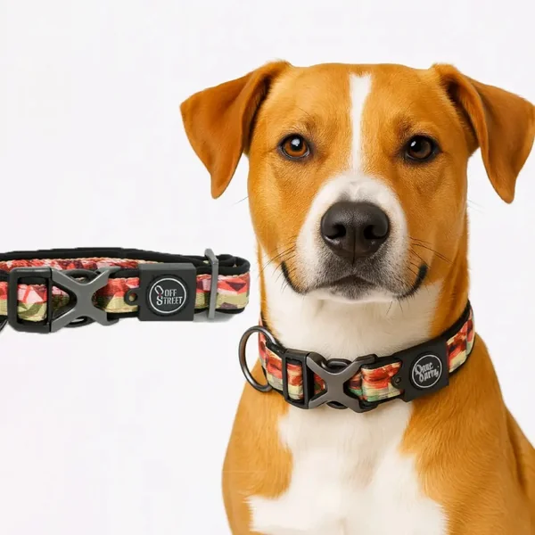 Collar para perro grande camouflaje | Marca All for paws