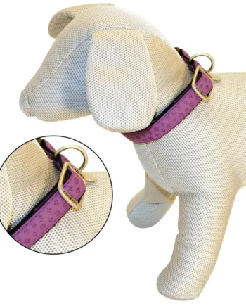 Collar para perros mylord morado S,M,L,XL