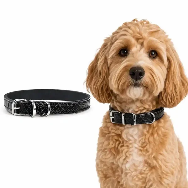 Collar para perros pequeños y medianos | Power 20cm a 35cm