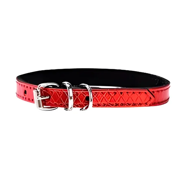 Collar para perros pequeños y medianos | Power 20cm a 35cm