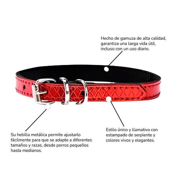 Collar para perros pequeños y medianos | Power 20cm a 35cm