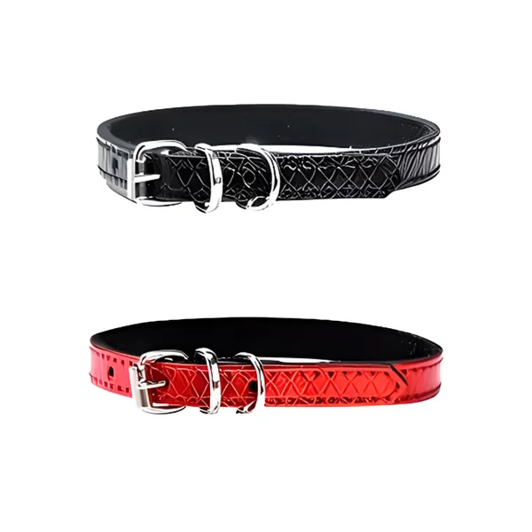Collar para perros pequeños y medianos | Power 20cm a 35cm