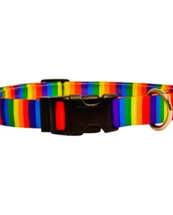 Collar Pride - Cat-oh pet shop