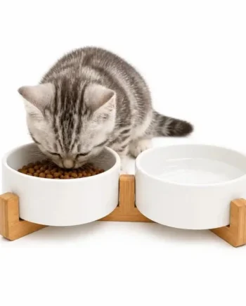 Comedero Dúo Natural - Cat-oh pet shop