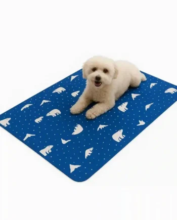 Cool Mat Fun - Azul - Cat-oh pet shop