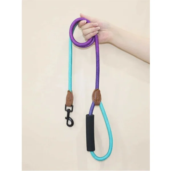 Correa de Nailon para Perros Arcoiris | Morado con Celeste