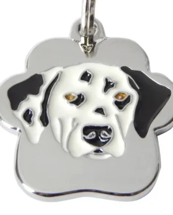 Dalmata rainbow - Cat-oh pet shop