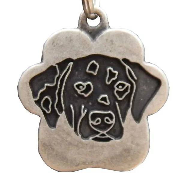 Dalmata vintage - Cat-oh pet shop