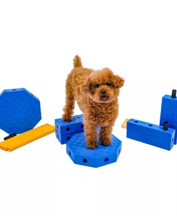 Fitpaws FitKinect Core