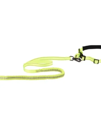 Flamingo correa con cinturón para running - Diran