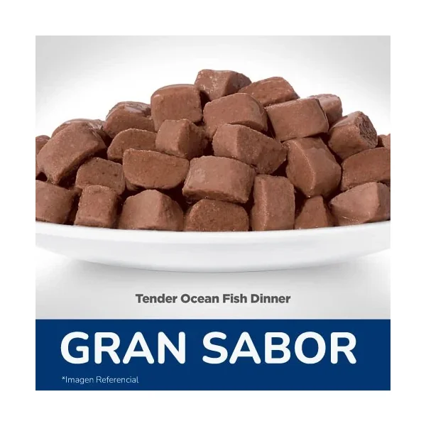 Hill's Science Diet Adult Tender Ocean Fish Dinner Pouch | Alimento húmedo para gatos adultos