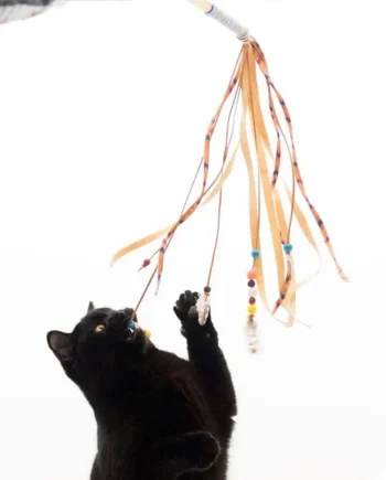 Juguete Tormenta de plumas - Cat-oh pet shop