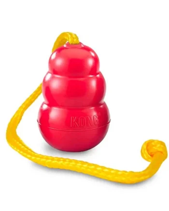 Kong Classic W/Rope