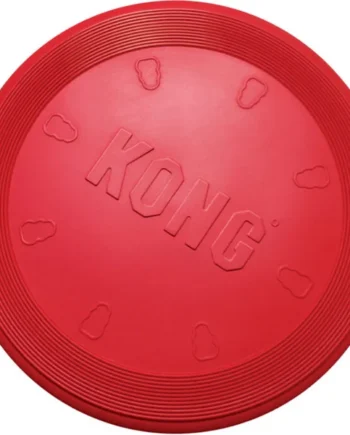 Kong Flyer Frisbee