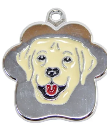 Labrador rainbow - Cat-oh pet shop