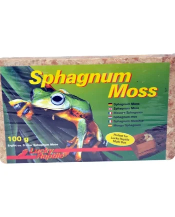 Lucky Reptile Sphagnum Moss