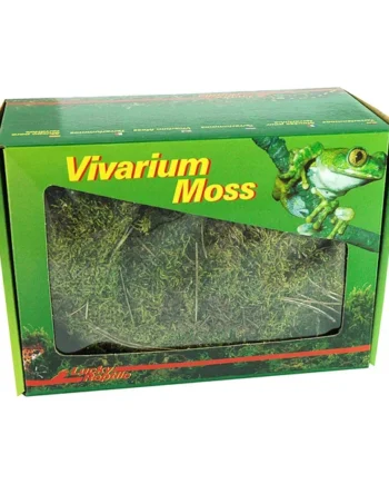 Lucky Reptile Vivarium Moss
