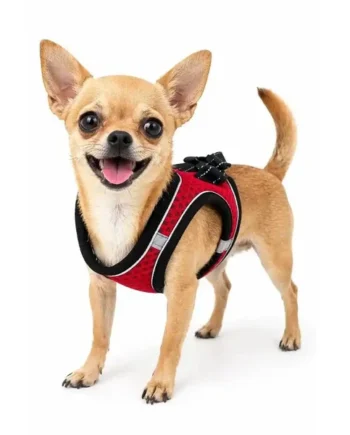 Pechera para perros - Rubí XS - Cat-oh pet shop