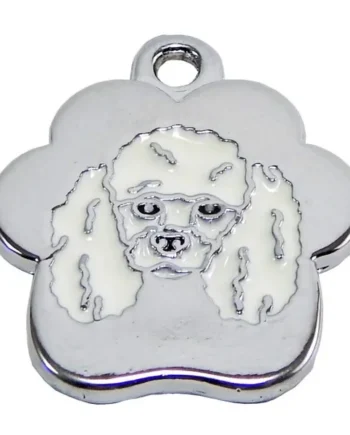 Poodle rainbow - Cat-oh pet shop