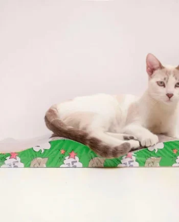 Rascador para gatos de cartón doble ola con catnip | Cat-oh