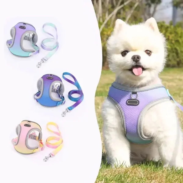 Set de Arnes y Correa neon rainbow para perros pequeños